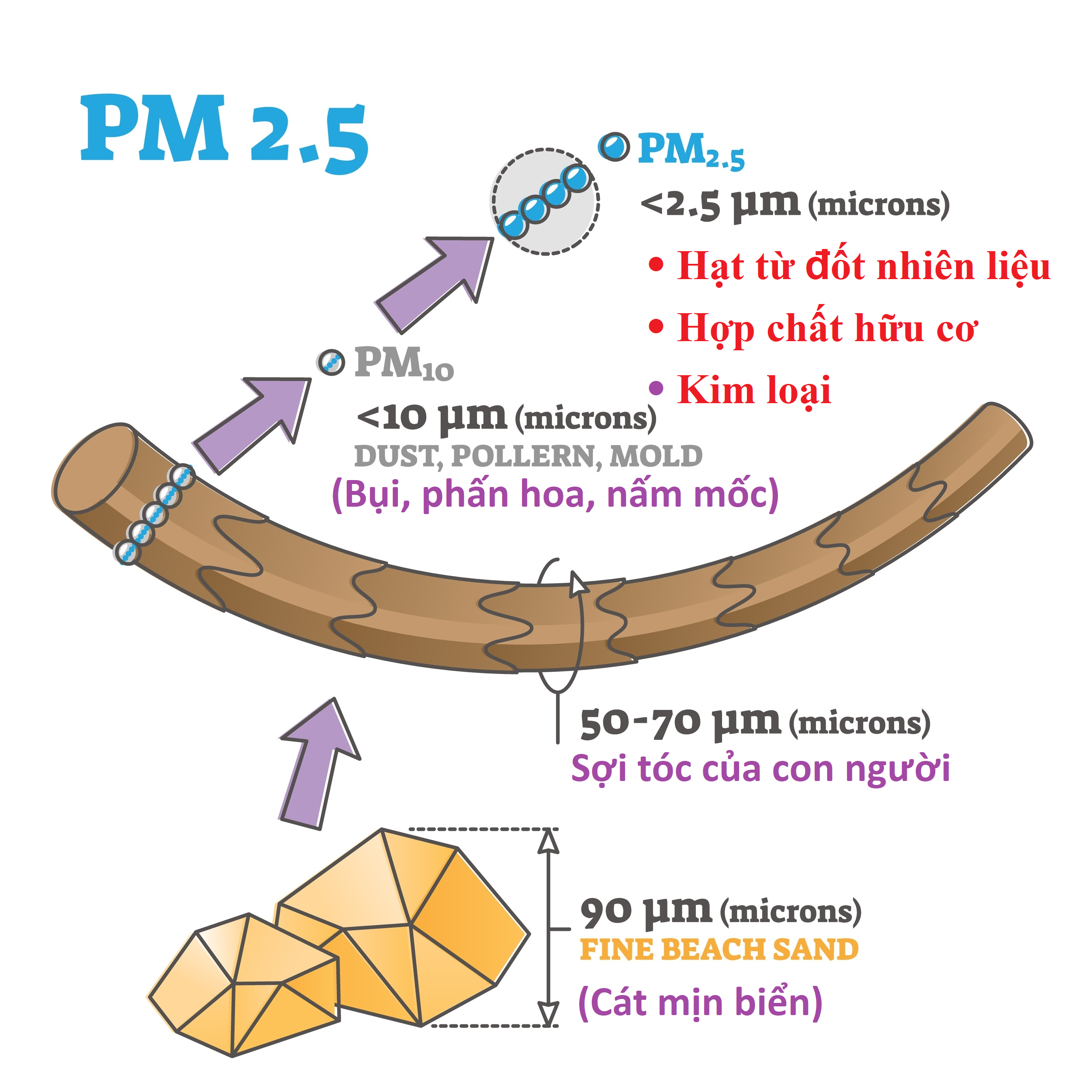 Hình ảnh: Bụi mịn & Cách ứng xử để hóa giải “sát thủ vô hình” bằng phương pháp thuận tự nhiên số 1