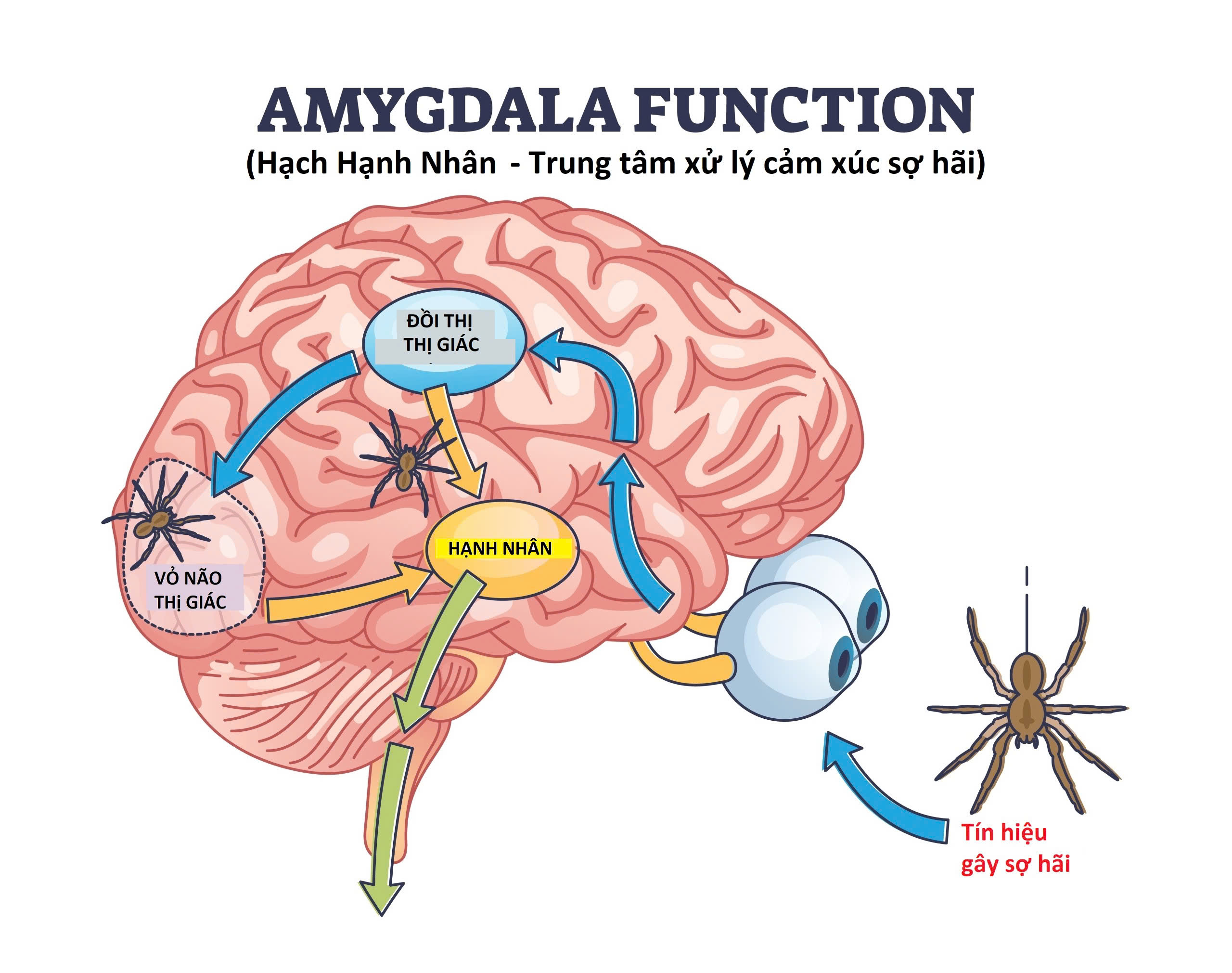 Hình ảnh: Sợ mất hồn nhưng vẫn tìm xem clip về cái ác để rồi ám ảnh, vì sao? số 1